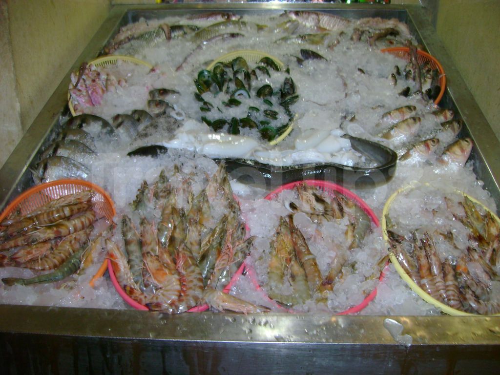 restorany egipta