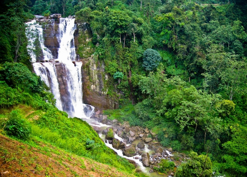ekskursii shri lanka