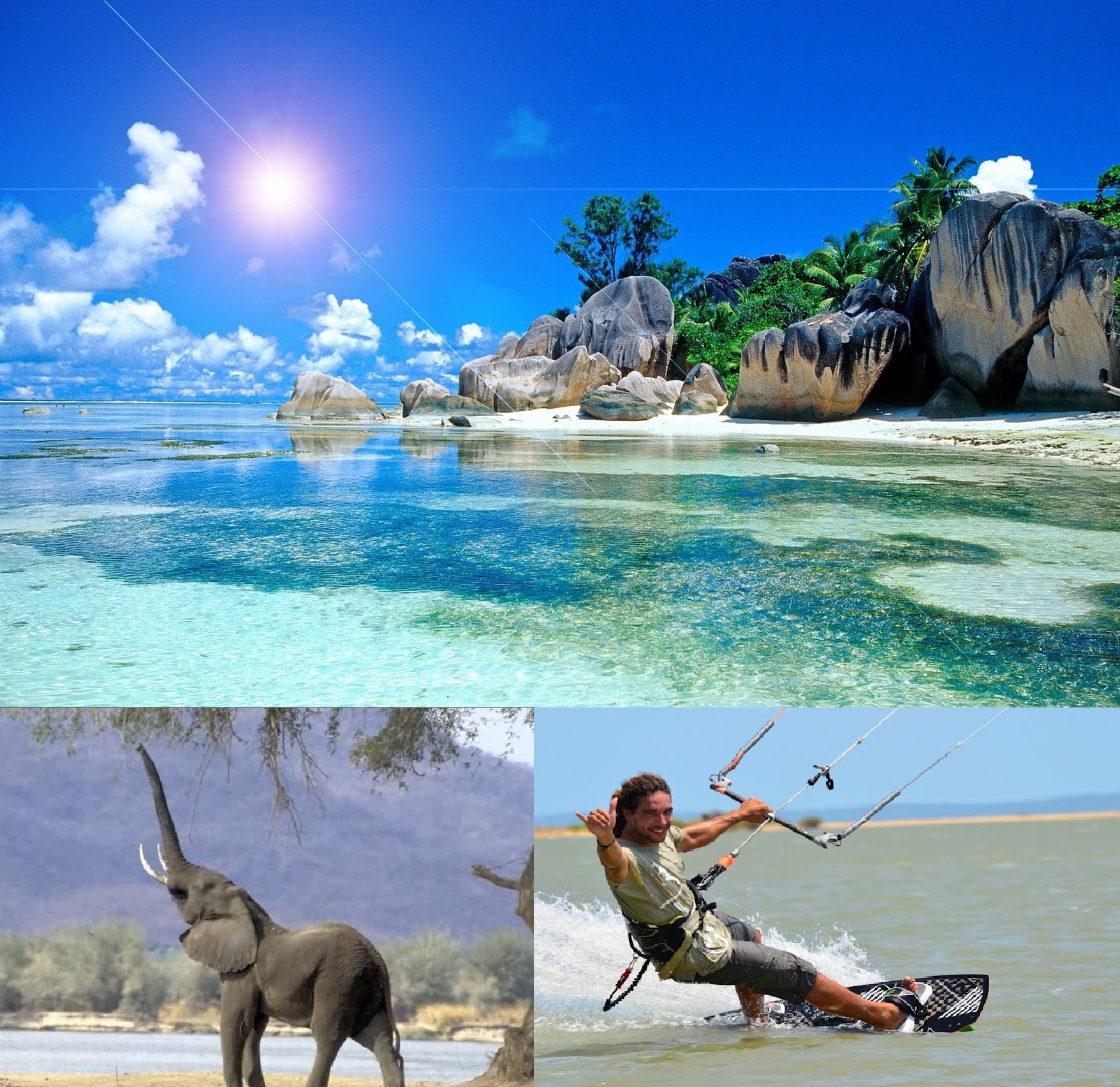 nezabivaemie ekskursii shri lanka