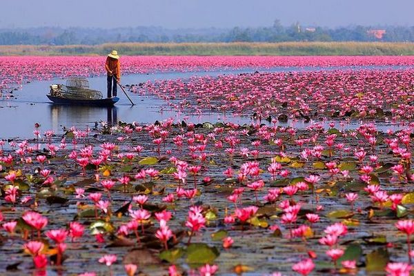 ekskursi vietnama